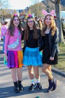 1. Straßenfasching (149)